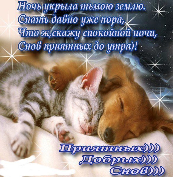 Открытка спокойной друзьями Открытка спокойной друзьями