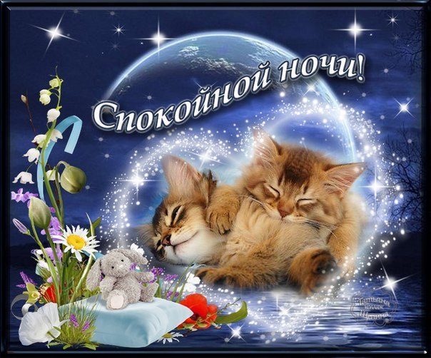 Новые открытки спокойной ночи любимому