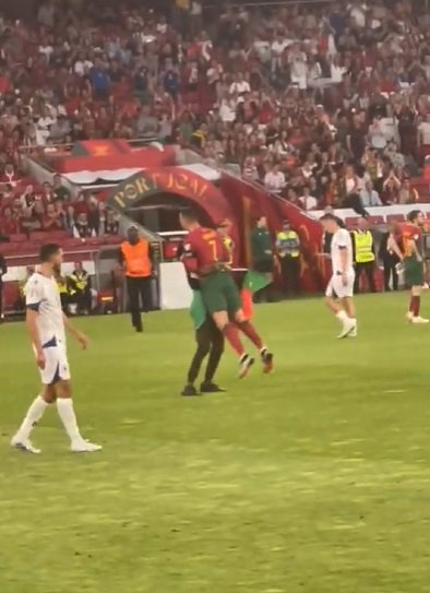 Фанат обнял Роналду и поклонился ему в ноги во время матча с Боснией