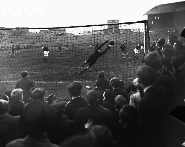 Съели, родоначальники!?