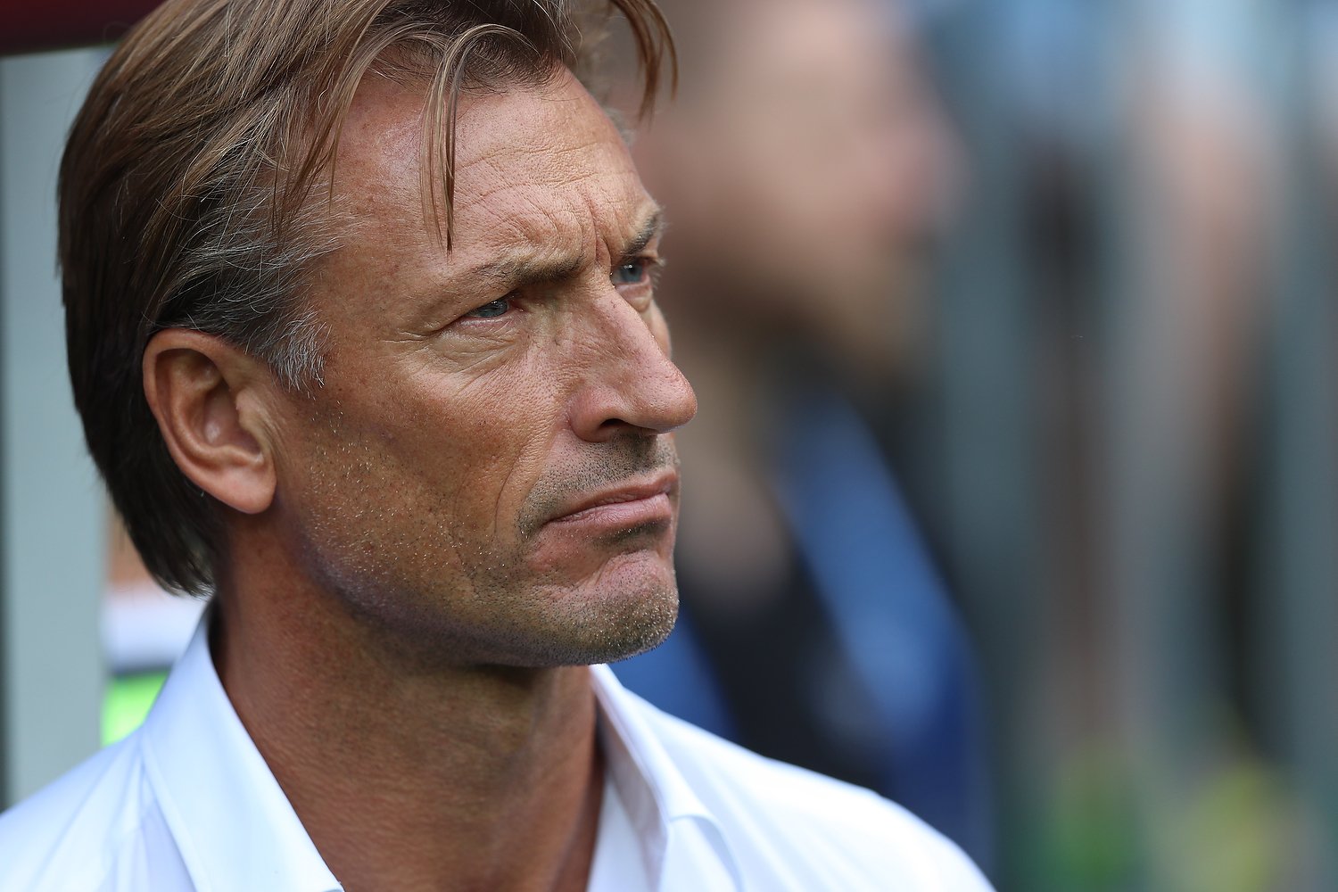 Pedro эрве вилар. Эрве вилар биография. Vilard. Pedro эрве вилар перевод. Эрве ренар.