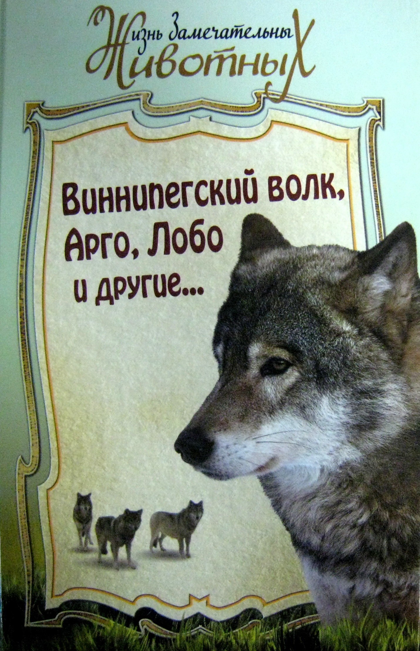 Герои произведения волки. Сетон Томпсон Виннипегский волк. Сетон-Томпсон э. "Лобо (12+)". Сет Томпсон Виннипегский волк.