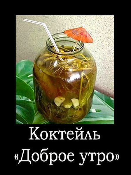 прикольные картинки болеющего с похмелья ваши поклонники