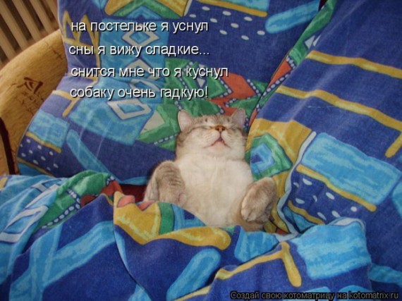 угарные стихи спокойной ночи