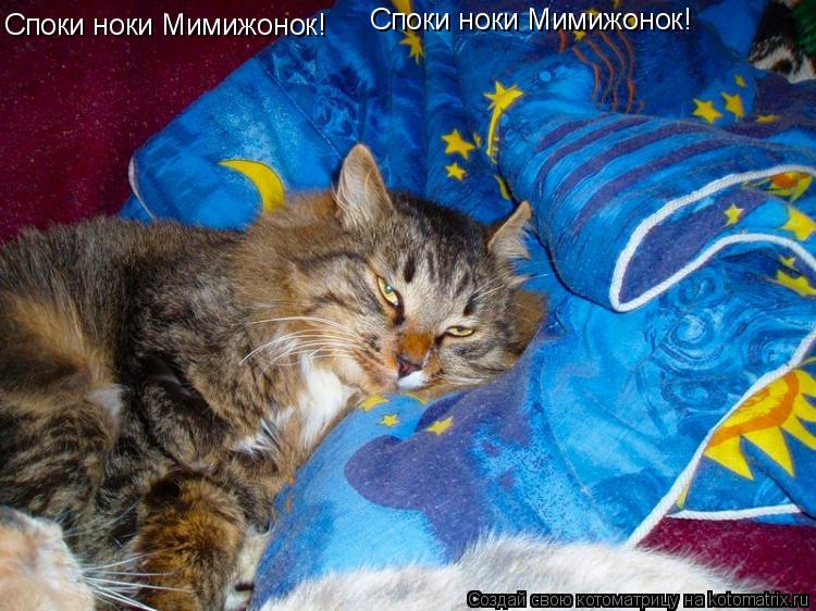 Спок нок картинки