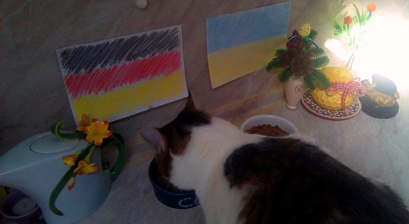 ​Германия — Украина. Кот ставит на немцев!