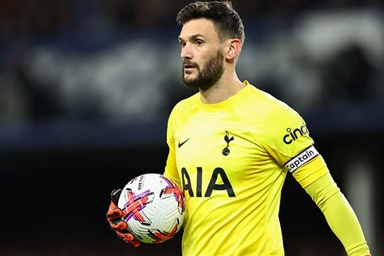 Распечатать Lloris