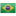 Логотип «Бразилия»
