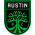 Лого Остин