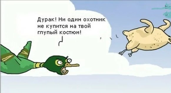Утка мем. Утка мемы. Приколы про утку. Утка шутка. Уточка Мем.