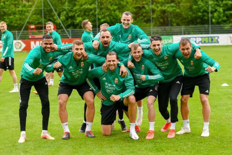 Игроки сборной Венгрии
