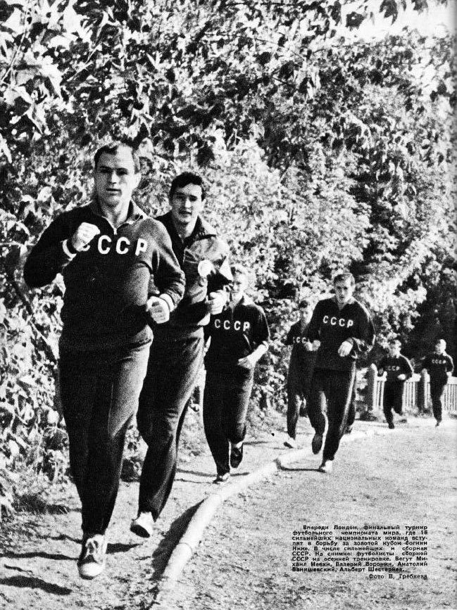 Сборная СССР на ЧМ-66: Флориана Альберта должен был держать наш Альберт; или всё-таки Валерий? Об Альберте Шестернёве, Валерии Воронине и всей сборной Советского Союза в 1966 году