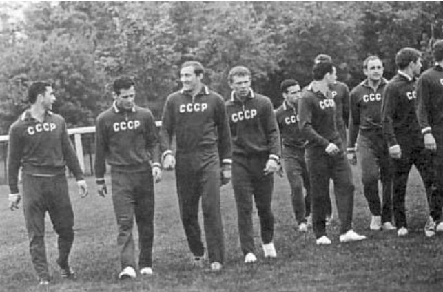 Сборная СССР на ЧМ-66: Флориана Альберта должен был держать наш Альберт; или всё-таки Валерий? Об Альберте Шестернёве, Валерии Воронине и всей сборной Советского Союза в 1966 году
