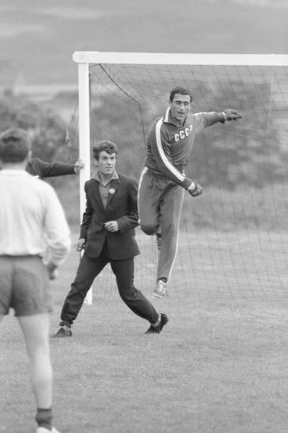 Сборная СССР на ЧМ-66: Флориана Альберта должен был держать наш Альберт; или всё-таки Валерий? Об Альберте Шестернёве, Валерии Воронине и всей сборной Советского Союза в 1966 году