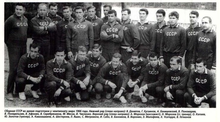 Сборная СССР на ЧМ-66: Флориана Альберта должен был держать наш Альберт; или всё-таки Валерий? Об Альберте Шестернёве, Валерии Воронине и всей сборной Советского Союза в 1966 году