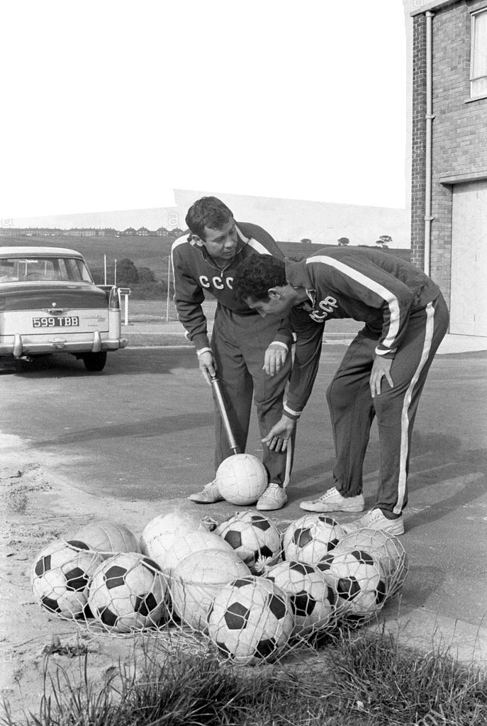 Сборная СССР на ЧМ-66: Флориана Альберта должен был держать наш Альберт; или всё-таки Валерий? Об Альберте Шестернёве, Валерии Воронине и всей сборной Советского Союза в 1966 году