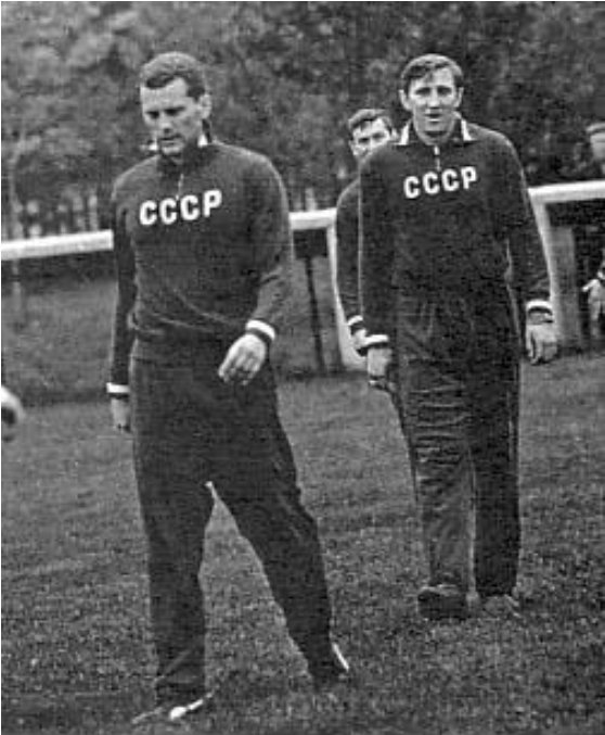 Сборная СССР на ЧМ-66: Флориана Альберта должен был держать наш Альберт; или всё-таки Валерий? Об Альберте Шестернёве, Валерии Воронине и всей сборной Советского Союза в 1966 году