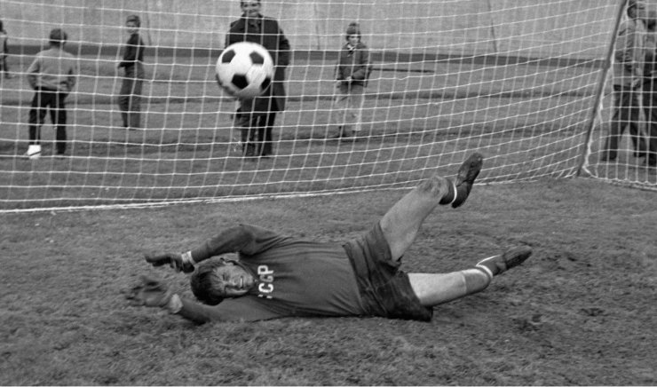 Сборная СССР на ЧМ-66: Флориана Альберта должен был держать наш Альберт; или всё-таки Валерий? Об Альберте Шестернёве, Валерии Воронине и всей сборной Советского Союза в 1966 году