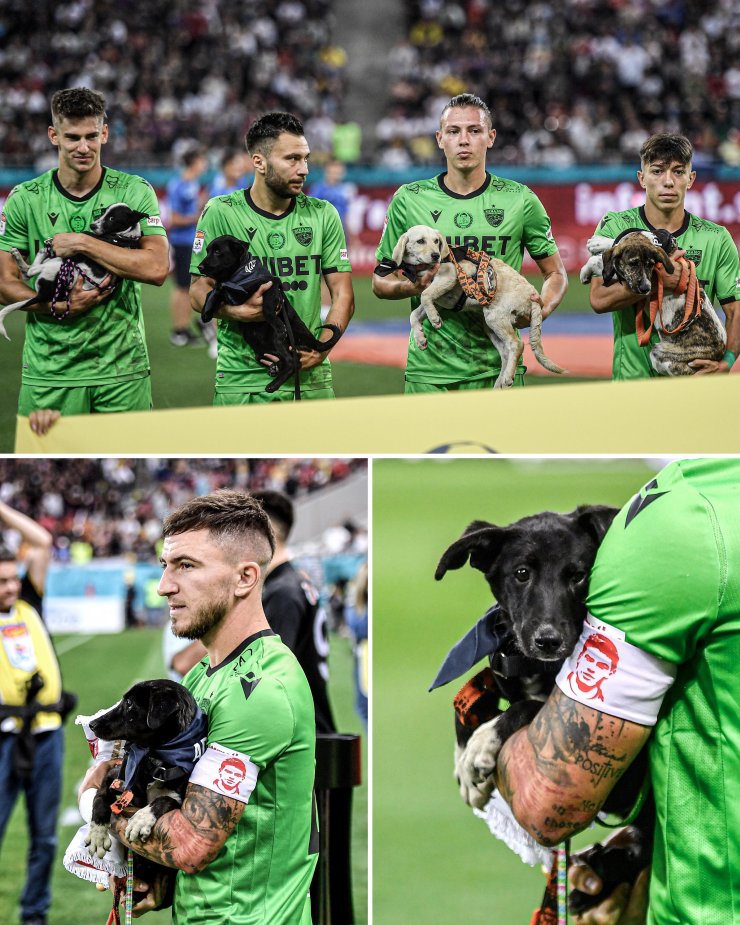 Игроки «Динамо» из Бухареста вышли на поле с бездомными собаками на руках