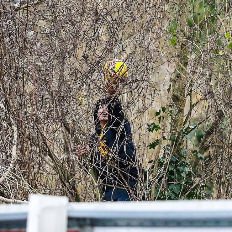 Болельщик во время матча Кубка Англии залез на дерево, чтобы вернуть мяч