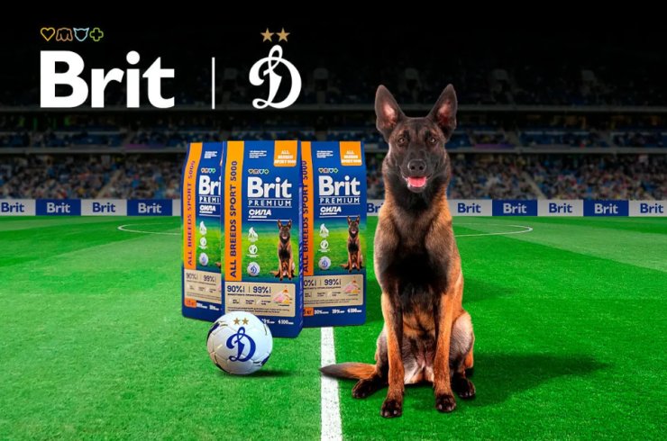 Новым спонсором «Динамо» стал бренд корма для домашних животных