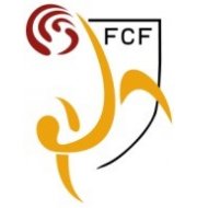 Логотип футбольный клуб Каталония
