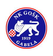 Логотип футбольный клуб ГОШК Габела
