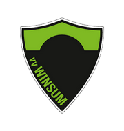 Логотип футбольный клуб Винсюм