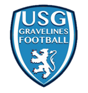 Логотип Гравлин