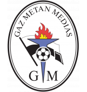 Логотип футбольный клуб Газ Метан (Медиаш)