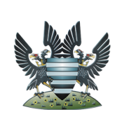 Логотип футбольный клуб Сэлисбери