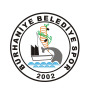 Логотип футбольный клуб Бурхание Беледиеспор