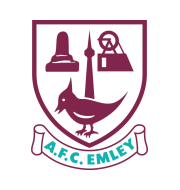 Логотип футбольный клуб Эмли