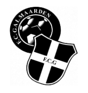 Логотип футбольный клуб Гальмаарден
