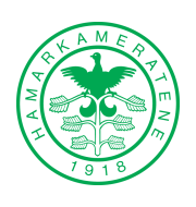 Логотип футбольный клуб Хам-Кам (Хамар)