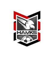 Логотип футбольный клуб Холланд Парк Хоукс (Кэмп-Хилл)