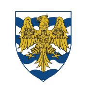 Логотип футбольный клуб Консетт