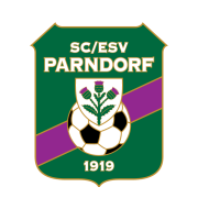 Логотип футбольный клуб Парндорф