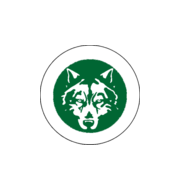 Логотип футбольный клуб Пешина