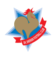 Логотип футбольный клуб Шанхай Шэньсинь