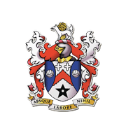 Логотип футбольный клуб Стейбридж Селтик