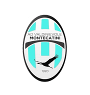 Логотип футбольный клуб Вальдиниволе Монтекатини (Монтекатини-Терме)
