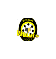 Логотип футбольный клуб ВДСК Вулвз