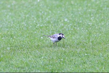 Футбольные элементы