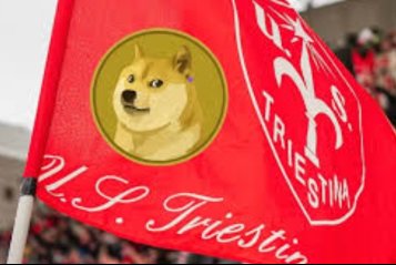 Триестина и Dogecoin Триестина и Dogecoin