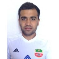 Роман Григорян статистика