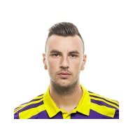 Амир Дервишевич статистика
