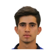 Alireza Koushki статистика