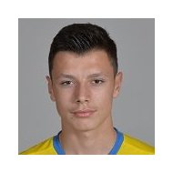Анел Ахмедходжич статистика