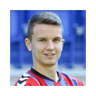 Денис Баумгартнер статистика